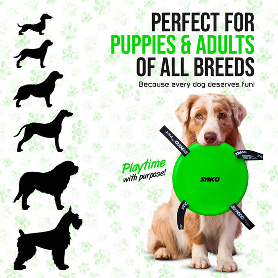 Synco Dog Frisbee  perfect for all breeds