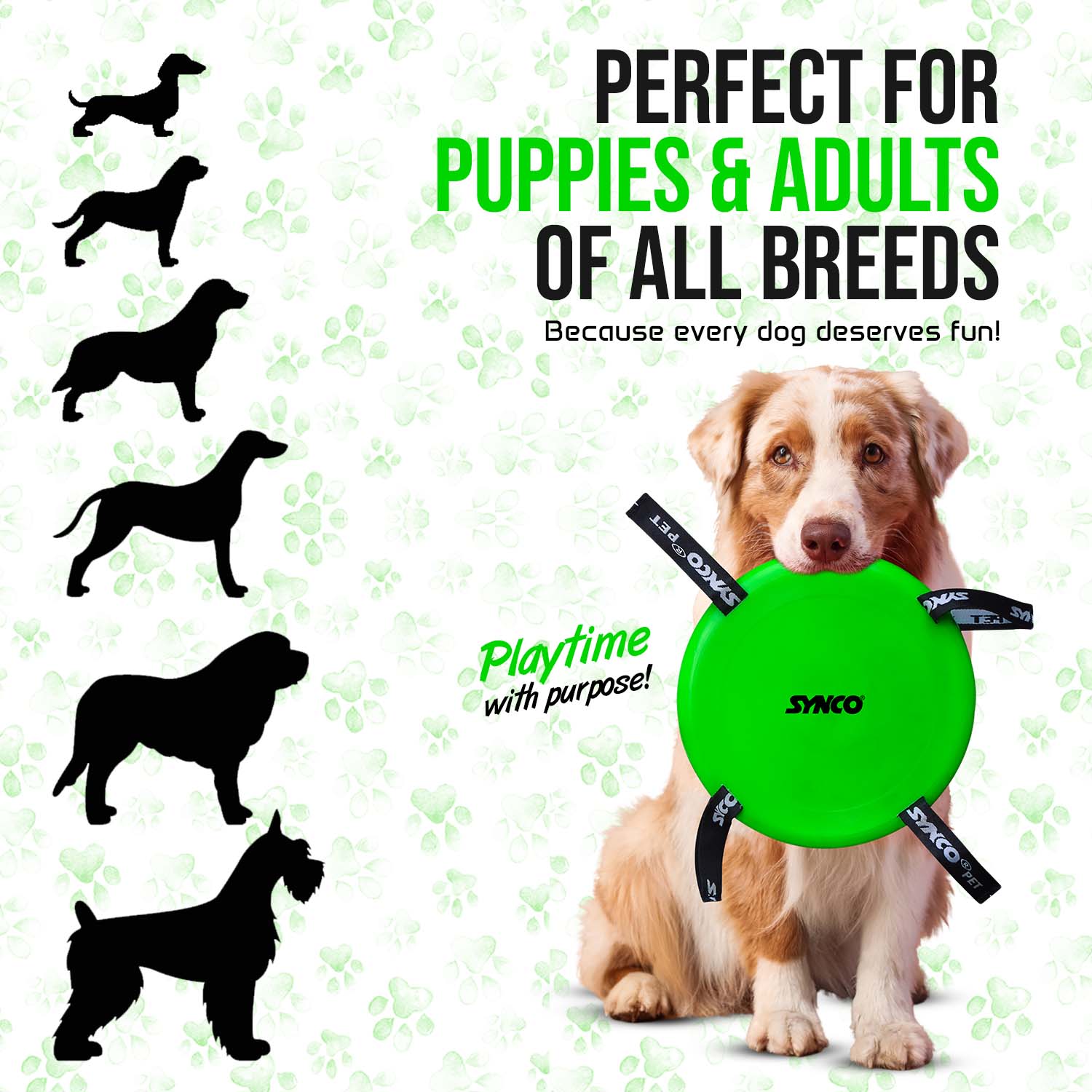 Synco Dog Frisbee  perfect for all breeds
