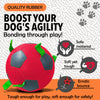 Synco Dog Toy Football with Green Holding loop features