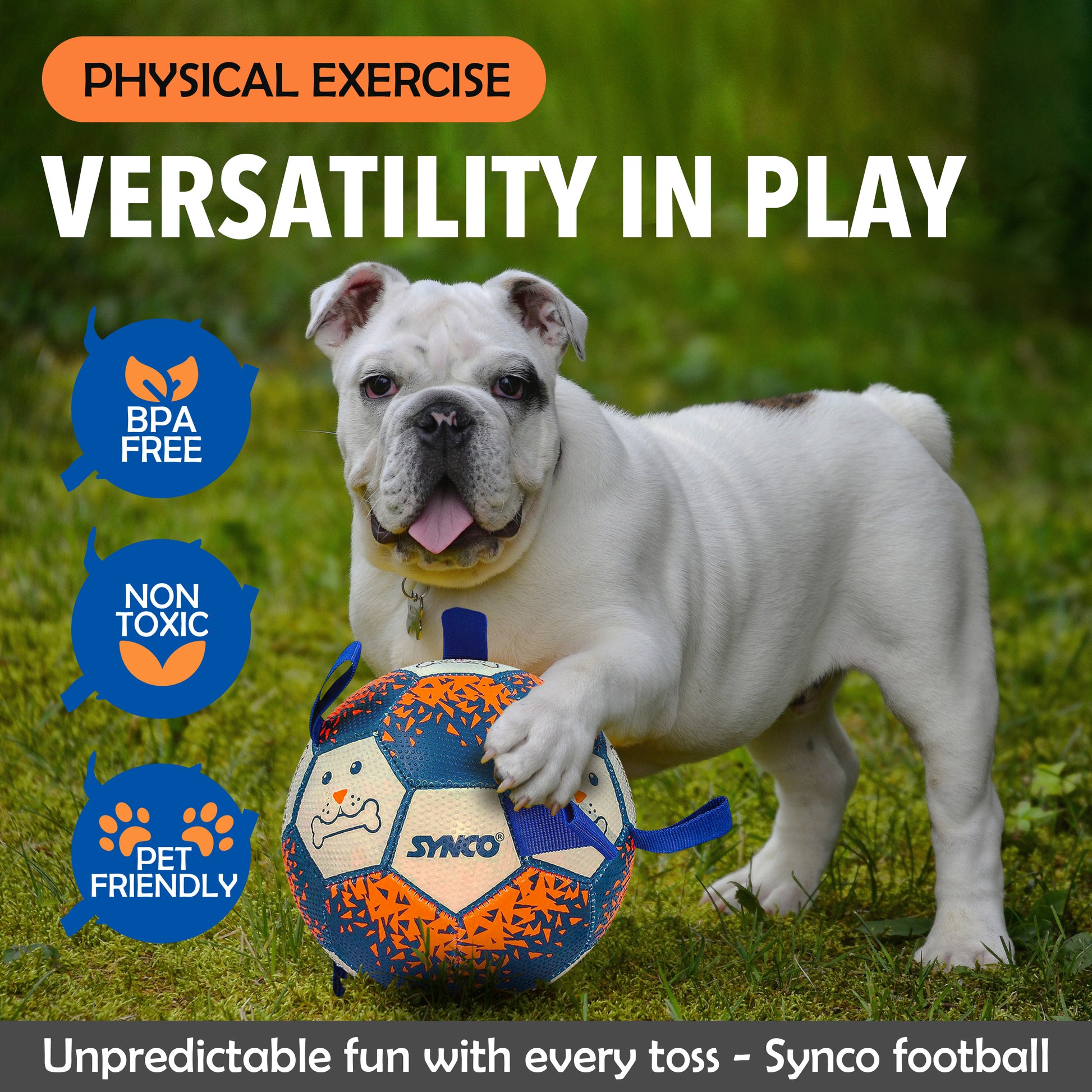 Synco Dog Toy Footballs versatility