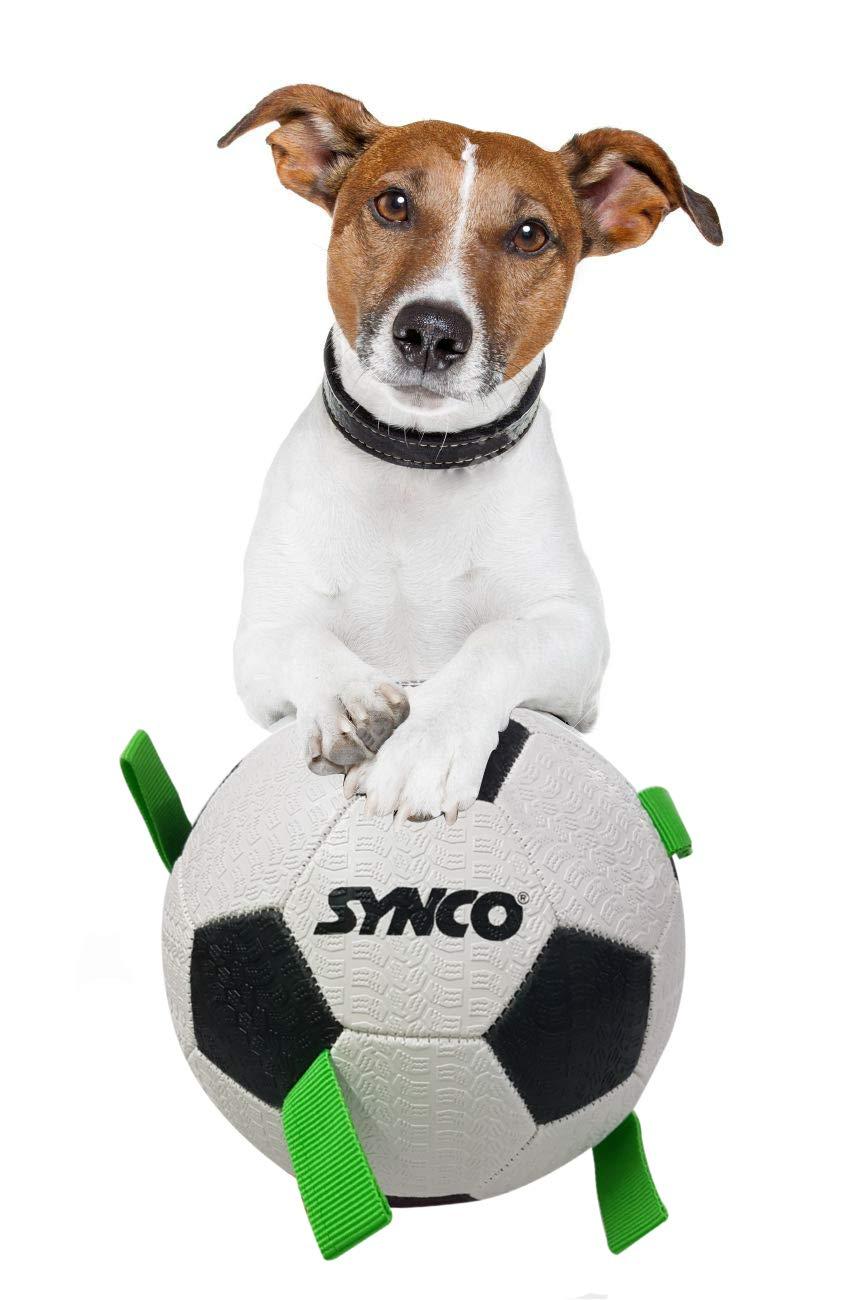 Synco Football with Green Holding Loops| Dog Ball Size-3| <Br>Dog Toy| Dog Ball (White) - 3
