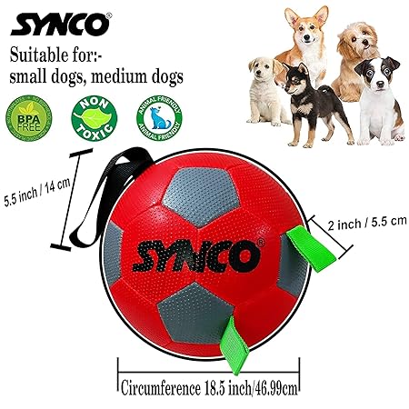 Green ball outlet for dogs