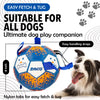 Synco Dog Toy Footballs with Blue Holding Loops | Dog Ball Size-3 | Dog Toy Ball (Blue)