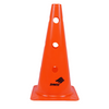 Cone Hurdle set (Pack of 5)
