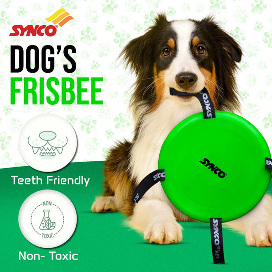 Synco Dog Frisbee natural