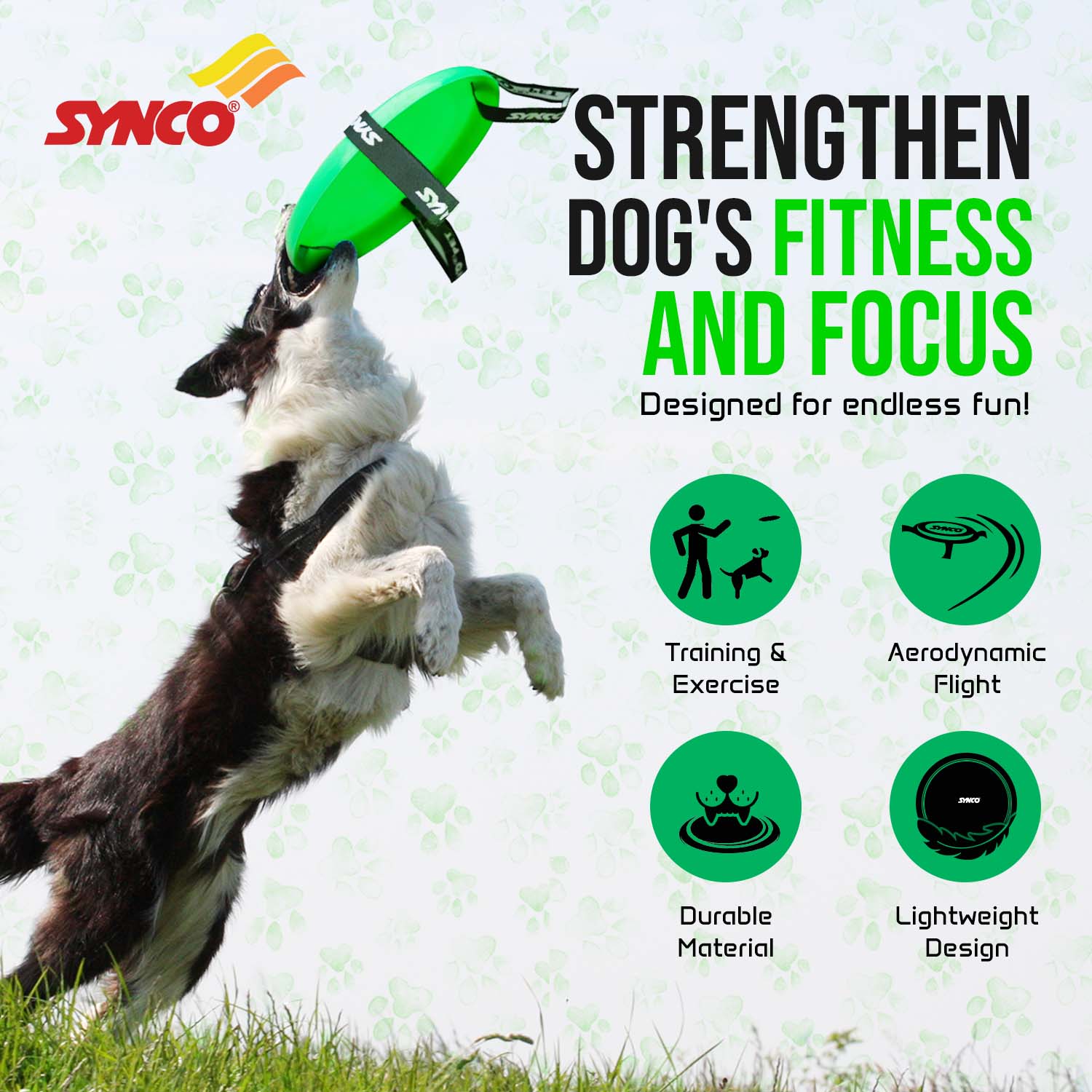Synco Dog Frisbee with strenght
