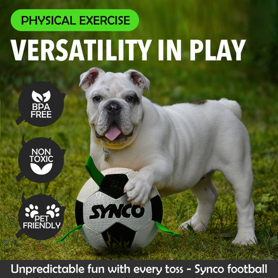 Synco Dog Toy Football with Green holding loops