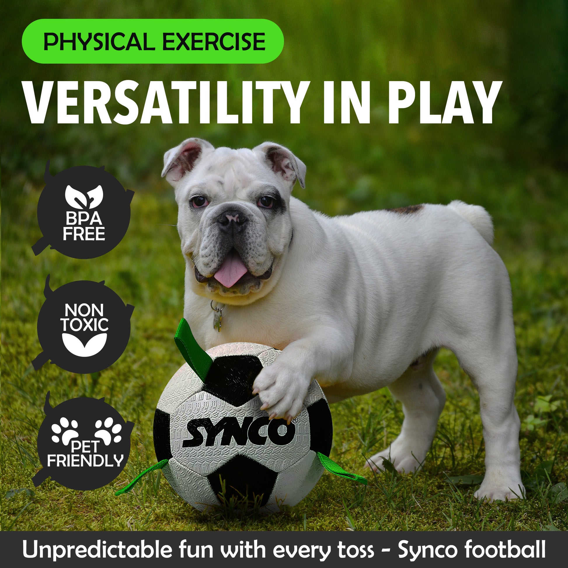 Synco Dog Toy Football with Green holding loops