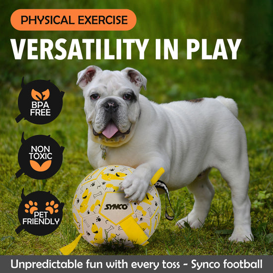 Synco Dog Toy Football graphic Yellow with Holding Loops 