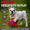 Synco Dog Toy Football Red colour