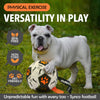 Synco Dog Toy Football Graphic Orange versatility