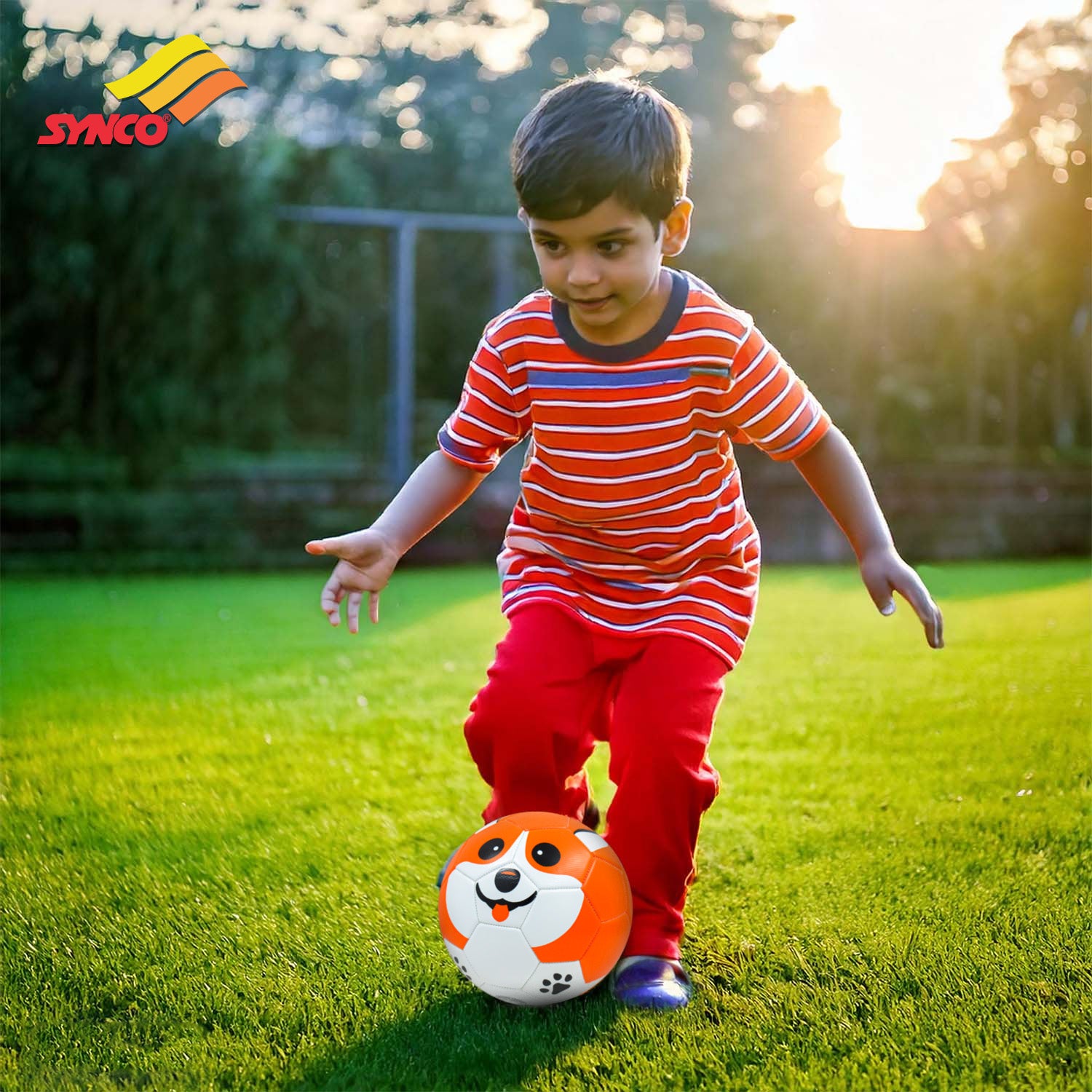 Synco dog faced kids football outdoor play 