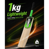 Wooden Cricket Bat Dominator Poplar Willow Orange & Green | Synco