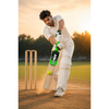 Wooden Cricket Bat Dominator Poplar Willow Orange & Green | Synco