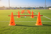 Cone Hurdle set (Pack of 5)