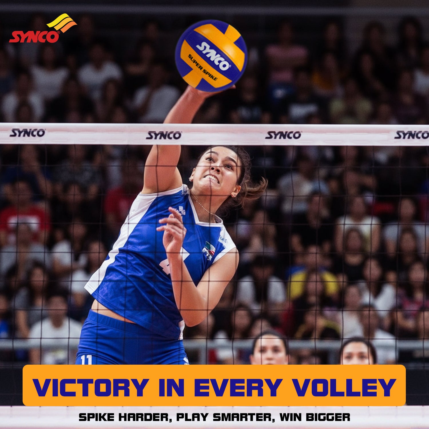 professional leather volleyball synco 