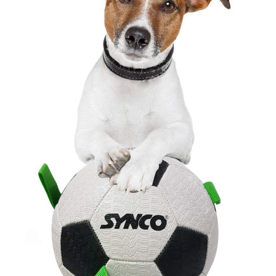 Synco Football with Green Holding Loops| Dog Ball Size-3| <Br>Dog Toy| Dog Ball (White) - 3