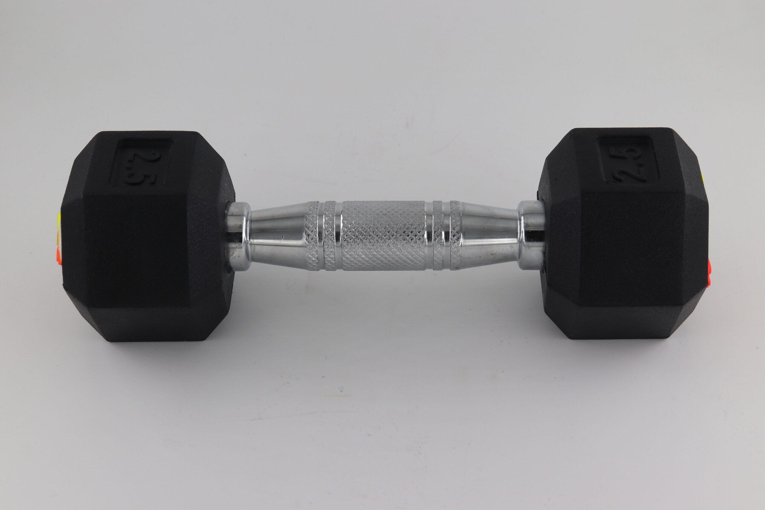 2.5 kg dumbbells discount online